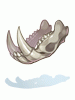 Bat Jawbone