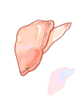 Salted bacon