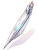 Garfish