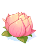 Flor de Lótus