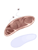 Carne de Porco 1a Classe