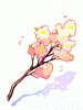 Voluminous Spray of Flowers