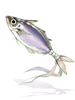 Saurel
