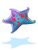 Estrela-do-mar
