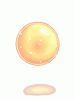 º¸¸§´Þ ½ºÅ©·Ñ