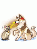 Costume Naughty Cat and Dog