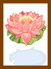 Water Lily Crown Box