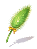 Shoot Foxtail Staff
