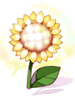 Shining Sunflower