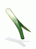 Leek In Mouth