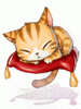 Sleeping Kitty Cat [1]