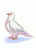 Bell Pigeon [1]