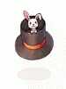 Costume: Rabbit Magic Hat
