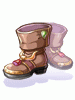 Taurus Shoes