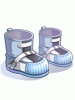 Awakened Special Environment Boots [1]