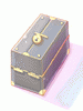 Level Up Box (100)