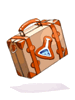 Chemical Bag