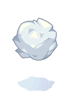 Bola de Neve