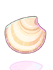 Abysmal Sea Shell
