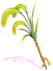 Trial Summoner's Foxtail [1]
