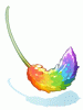 Rainbow Foxtail [1]
