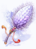 Royal Foxtail [2]