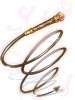 Heart Whip [2]