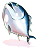 Amuleto Atum Fresco [1]