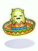 Costume Muka Sombrero