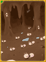 Andre Larva Card