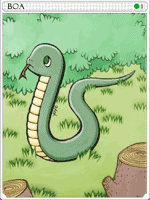 Boa Card