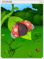 Stainer Card
