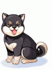 Filhote Shiba Inu