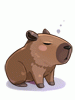 Costume Capybara