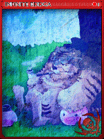 Infinite Eddga Card