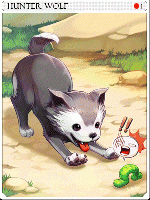 Hunter Wolf Card