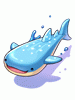 Whale Shark Float [1]