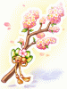 C Sakura Branch