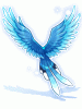Costume Blue Magpie Wings