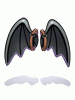 Costume: Toothless Wings
