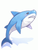 Costume Shark