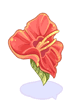 Large Hibiscus [1]