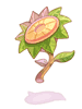 Decorative Geographer [1]