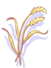 Grains