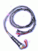 Poenitentia Flagellum [2]