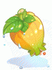 Fresh Fruit