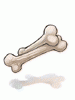 Evil Spirit Bone