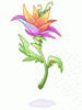 Flor Misteriosa