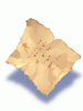 Torn Document