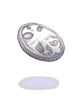 Silver Coin
